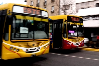 Aumento de transporte en La Plata: cuánto costará el boleto de colectivo