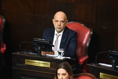 Pareja tiene su reemplazo en el Senado bonaerense: quién es Carlos Curestis