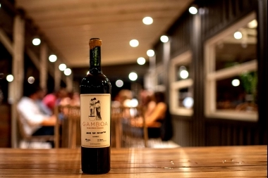 Destinos bonaerenses: dos bodegas que ofrecen catas de vino guiadas y baños de bosque