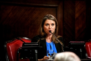 Senadora bonaerense exhibió su inquietud por los bajos montos destinados al SAE