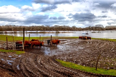 Tormentas e inundaciones en el Interior bonaerense: qué medidas anunció el Gobierno nacional