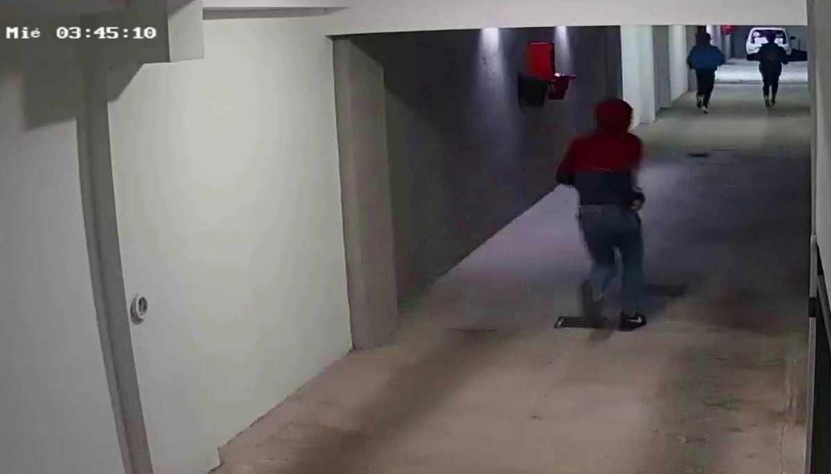 Rompeportones al ataque: en la madrugada irrumpen en garajes y el objetivo principal son las motos