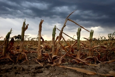 Caos natural: el Gobierno bonaerense declaró la emergencia agropecuaria en Balcarce