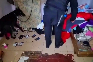 Un "Demon" para los narcos: perro olfateó drogas ocultas y desbarató a la banda de "el Cubano"