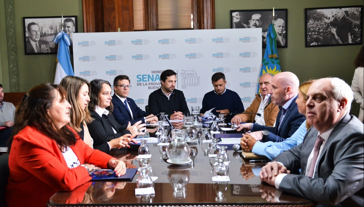 Kreplak explicó ante los senadores los proyectos de empresas estatales de Kicillof