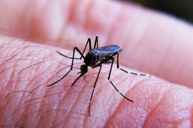 Rivadavia celebró salir de la zona de brotes de casos de dengue