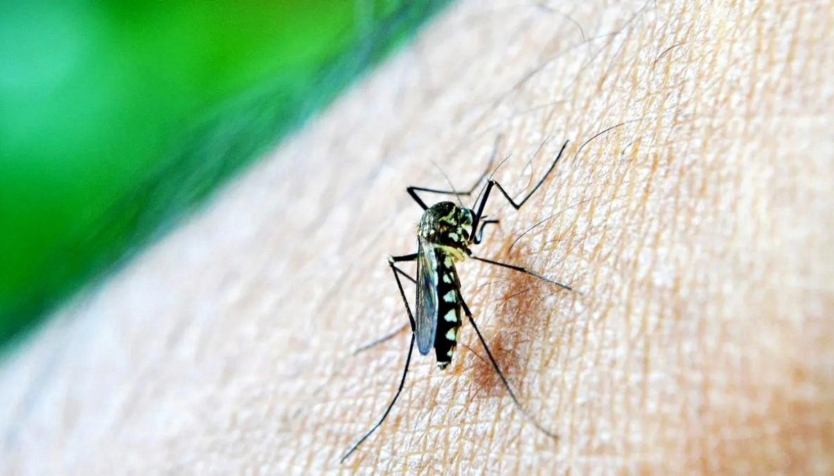 El frío hace fuerza en la Provincia y los casos de dengue bajan de manera significativa