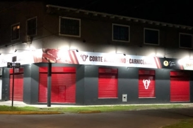 Robo de cables en La Plata: violentó el acceso a un PH y se llevó 40 metros de una bomba de agua