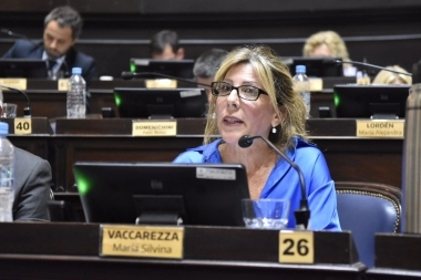 Vaccarezza presentó un proyecto para asistir a víctimas de cosmeticorexia