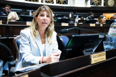 Vaccarezza propone "eficientizar" el uso de electricidad y gas en colegios y edificios públicos