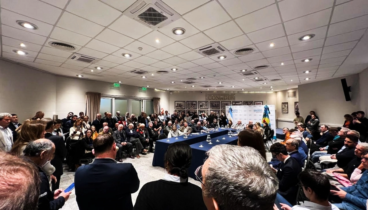 "En defensa de las PyMEs": senadores opositores ratificaron su negativa a la Ley de Indemnización de Kicillof