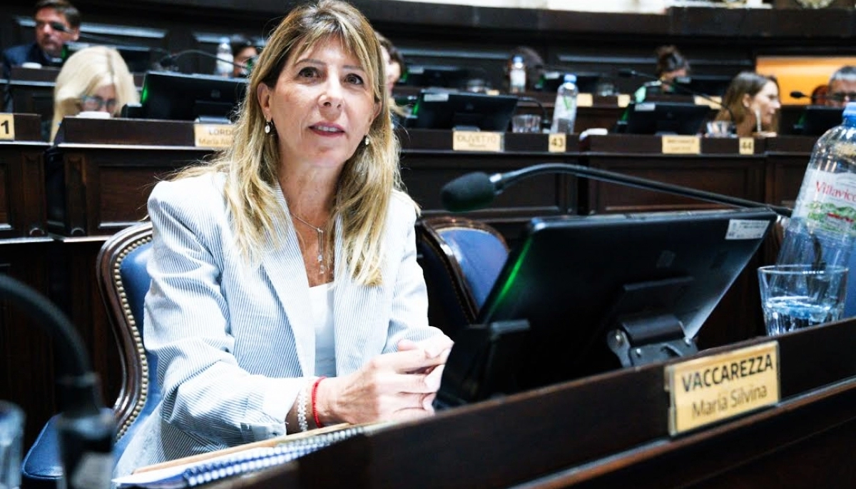 Vaccarezza propone "eficientizar" el uso de electricidad y gas en colegios y edificios públicos