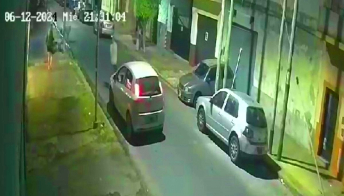 Una mujer se resistió al robo de la cartera y los vecinos pusieron en fuga a los delincuentes