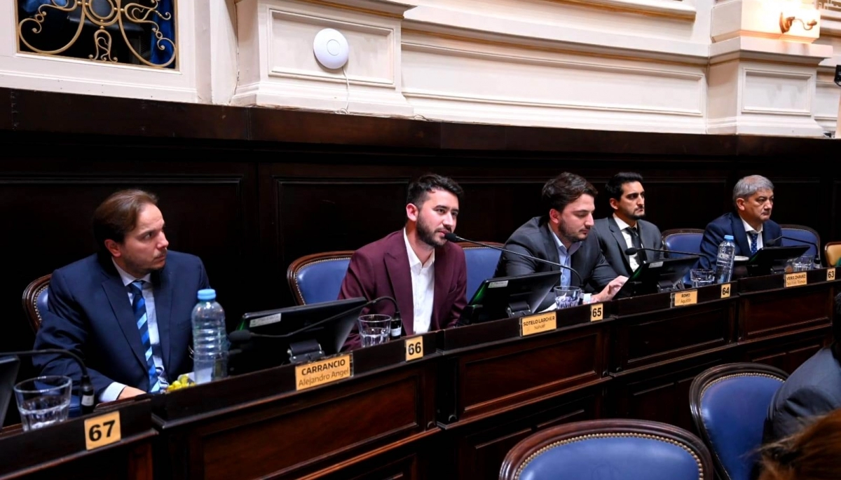 Diputados libertarios presionan a Kicillof para aprobar el RIGI a cambio de la planta GNL en Bahía Blanca