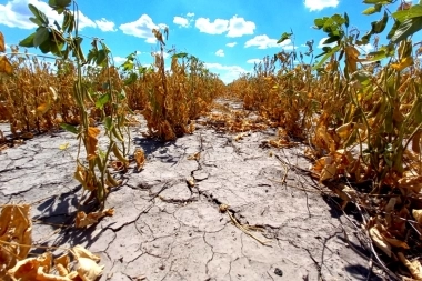 Provincia dispuso la emergencia agropecuaria para un distrito bonaerense de la Quinta Sección