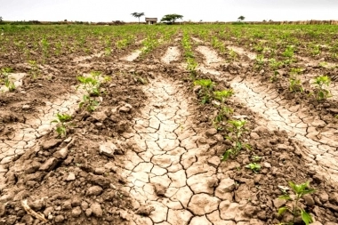 ¿Por la sequía?: Kicillof decretó la “emergencia agropecuaria” en cinco distritos bonaerenses