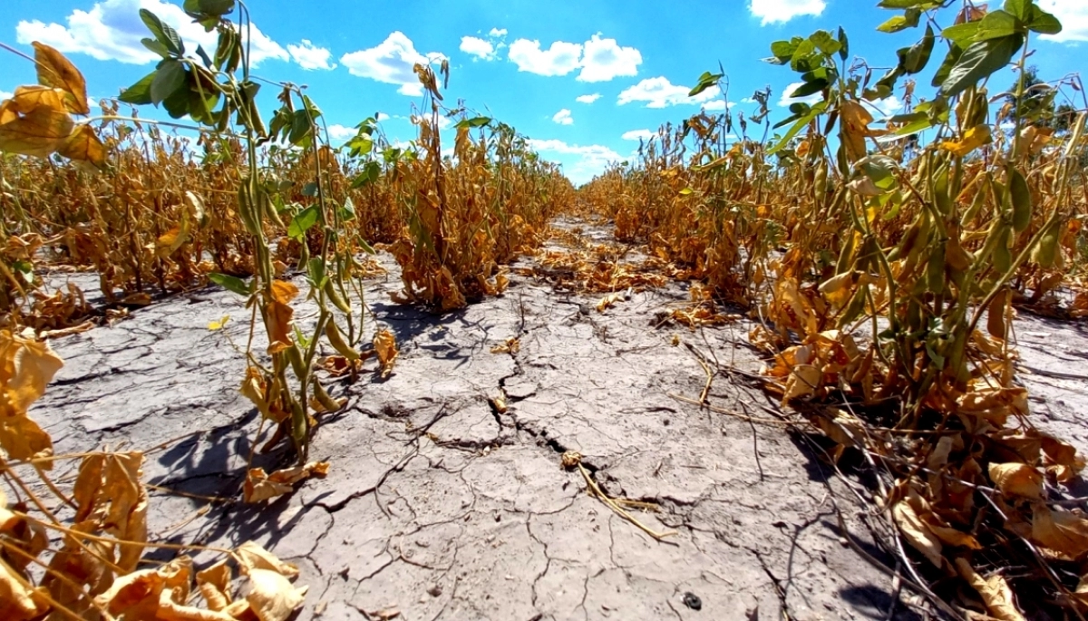 Provincia dispuso la emergencia agropecuaria para un distrito bonaerense de la Quinta Sección