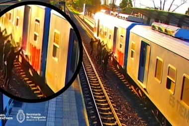La Federal detuvo a cinco sujetos que vandalizaron una formación del Ferrocarril Belgrano Sur