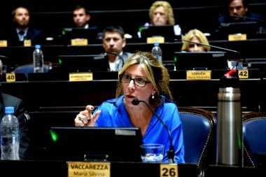 Vaccarezza rechazó la creación de empresas de salud de Kicillof: “Carece de coherencia”