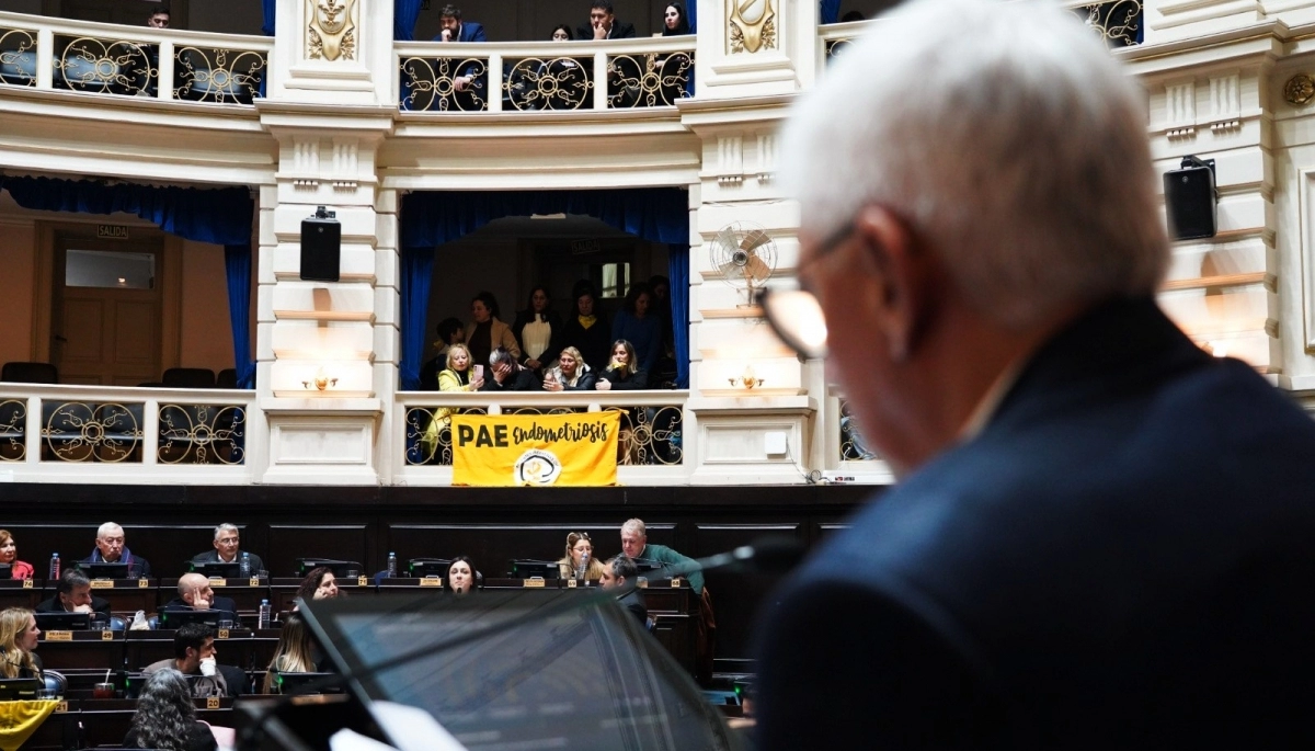 Diputados de la Provincia: Dichiara celebró la aprobación de Empresas de Emergencias estatales