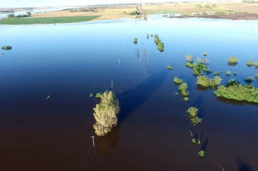 Preocupante: hay ocho millones de hectáreas afectadas por las inundaciones en la Provincia
