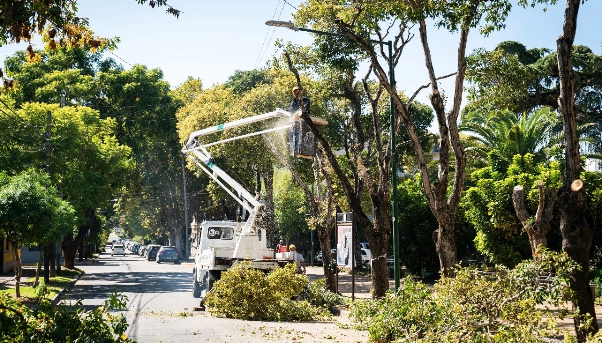 Proyecto equitativo e integral: Ramón Lanús impulsa el “Plan Integral de Arbolado” en San Isidro