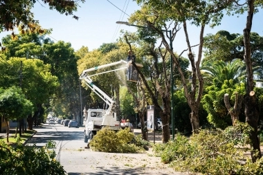 Proyecto equitativo e integral: Ramón Lanús impulsa el “Plan Integral de Arbolado” en San Isidro