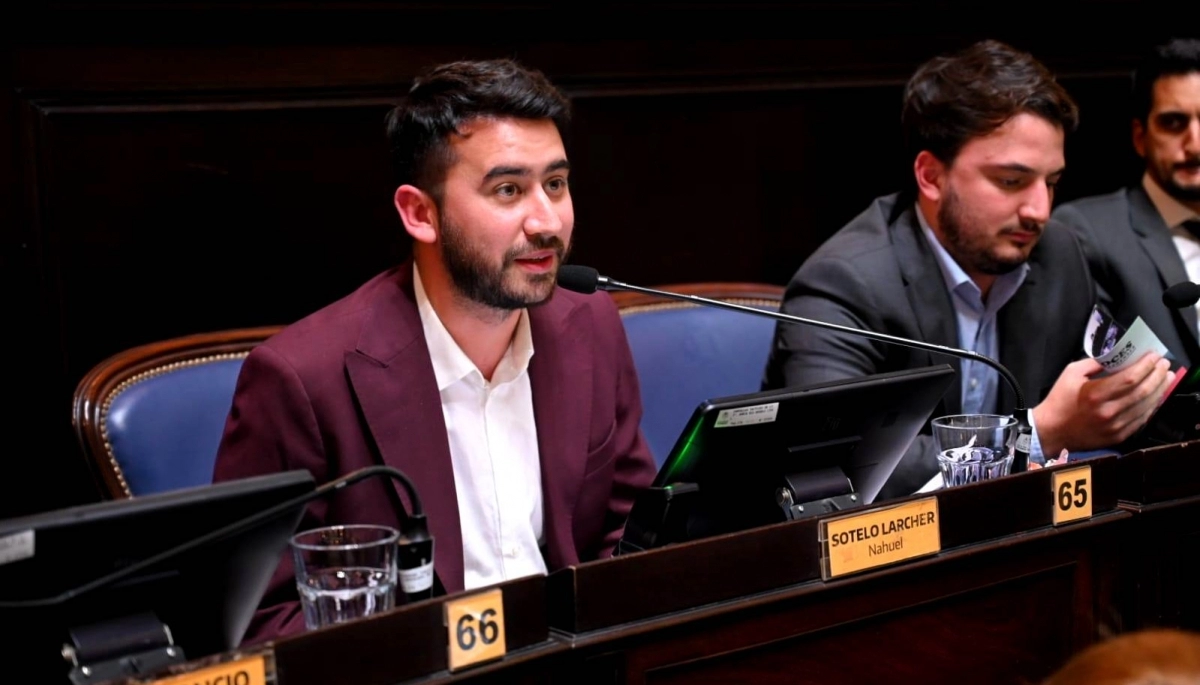 Sotelo lamentó que la Provincia no adhiera al RIGI: “Todo lo que hace Milei, Kicillof lo hace en espejo contrario”