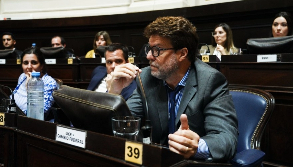 “No puede perder la planta de GNL por un capricho”, le advirtió Garciarena a Kicillof