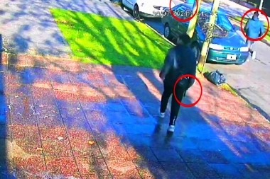 Jóvenes pirañas atacaron a una automovilista en Avellaneda