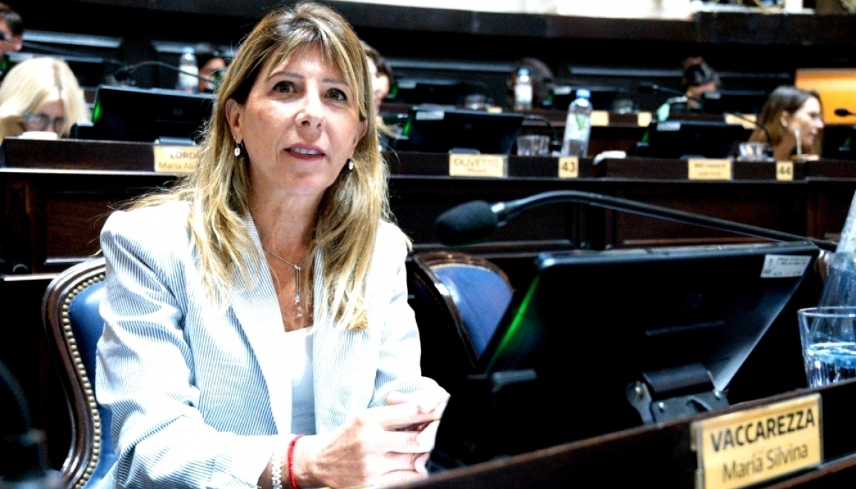 Vaccarezza pidió gestionar “eficientemente” los Fondos Fiduciarios para no repetir “errores del pasado”