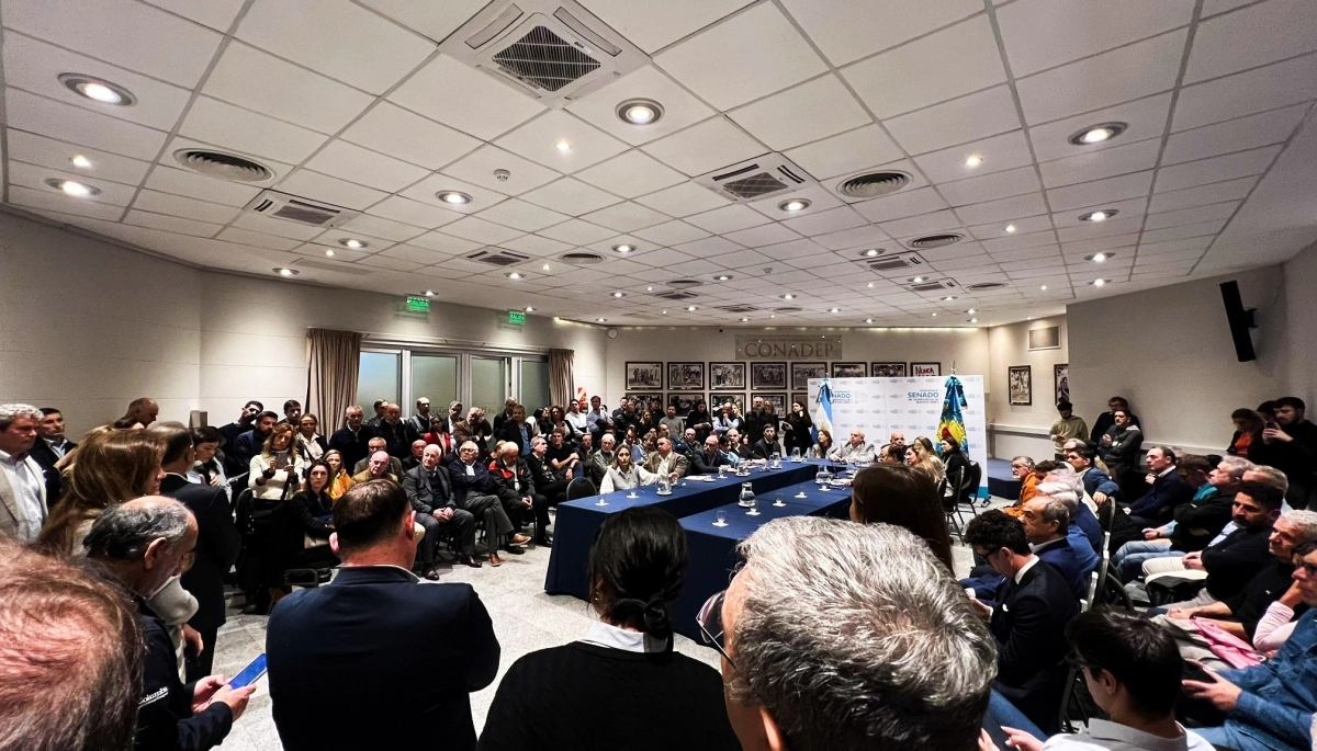 Senadores opositores rechazaron el proyecto de indemnizaciones impulsado por Kicillof