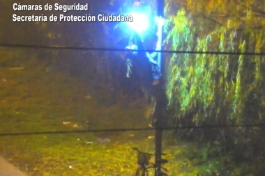No hacía Pole Dance: detuvieron a un sujeto que se enroscó en un poste para robar luminarias