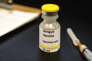 El PRO-Libertad pidió información por el costo de las vacunas contra el dengue que compró Kicillof
