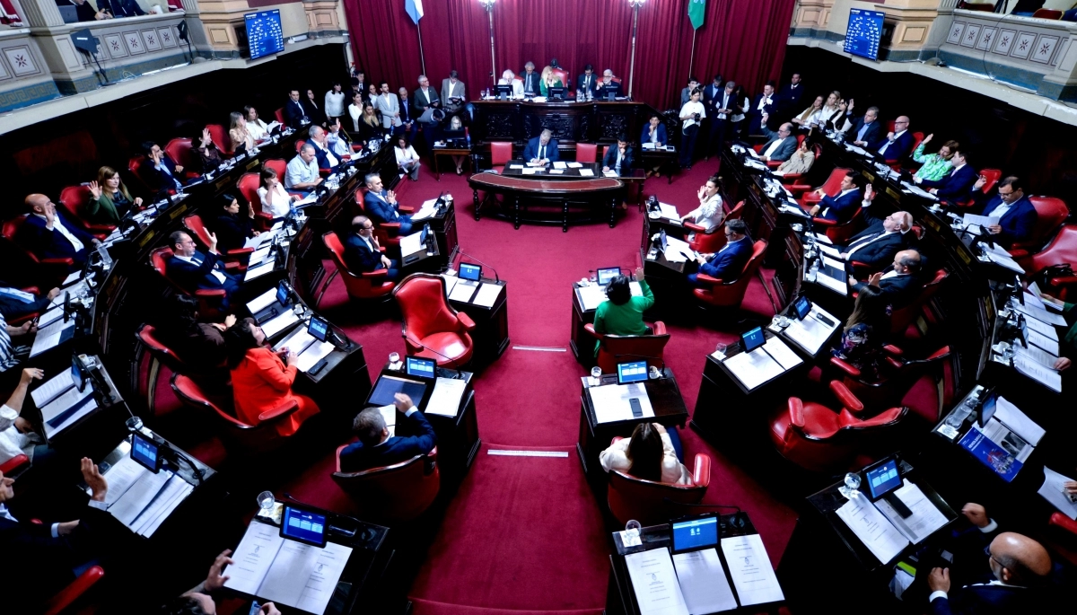 “Scoring” para conducir y regulación de pantallas: de qué tratan los proyectos aprobados en el Senado bonaerense