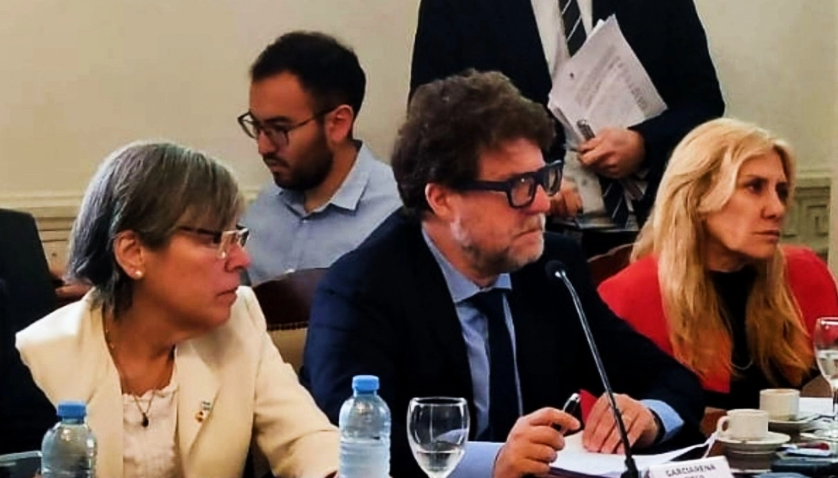 Con el regreso de Malaisi, la UCR + Cambio Federal vuelve a tener 8 legisladores