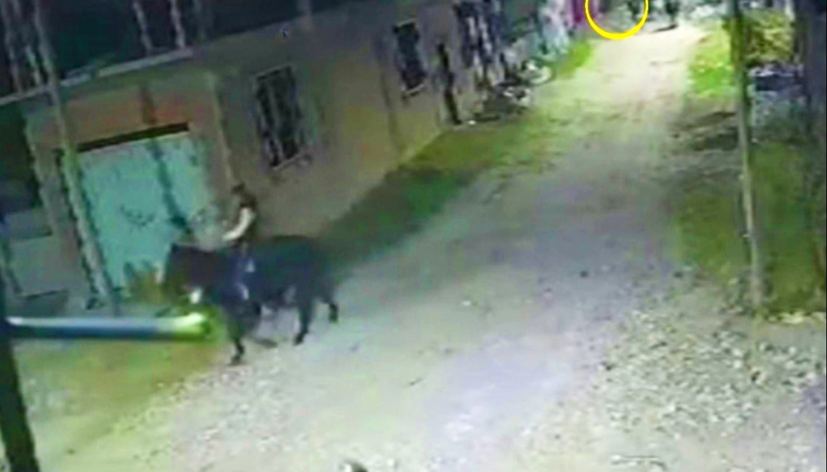 Un adolescente fue asaltado por una banda de jinetes en Quilmes