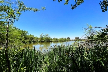 San Martín presentó un proyecto para crear la primera Reserva Ecológica de la ciudad
