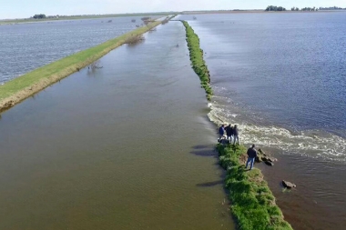 Desde la Federación Agraria exigen que se declare la "emergencia agropecuaria" en Provincia