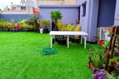 Allanados y detenidos en Boedo: encontraron numerosas plantas de marihuana y productos elaborados con cannabis