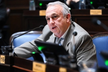 En Provincia: para implementar la Boleta Única de Papel, “libertarios dialoguistas” piden eliminar las PASO