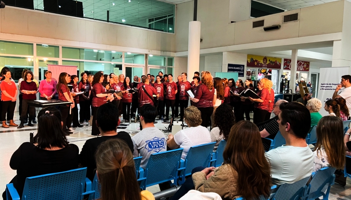 Bahía Blanca lanza “Colectivo Cultural”, un nuevo ciclo para disfrutar lo mejor del arte local