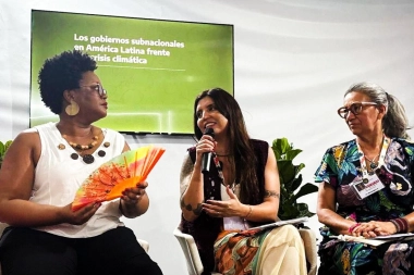 Junto a autoridades internacionales: Vilar presentó el Frente Ambiental Latinoamericano en la COP30