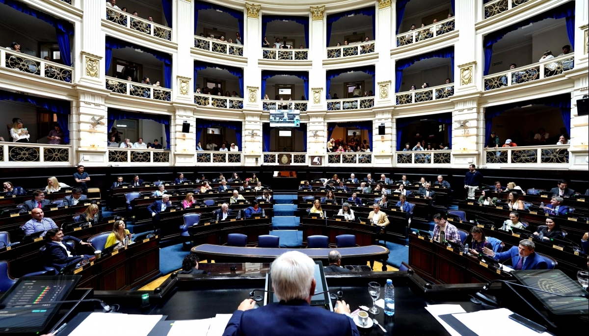 Expropiación, quita de un sobrecargo y pedido de sanción: qué dejó la octava sesión en Diputados