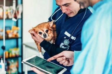 Lordén se reunió con autoridades de Círculos Veterinarios y profesionales autoconovcados