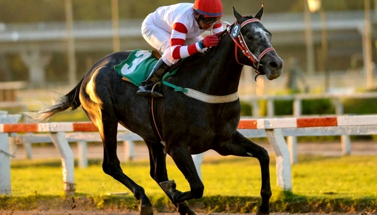Gran Premio Dardo Rocha: una propuesta imperdible para toda la familia