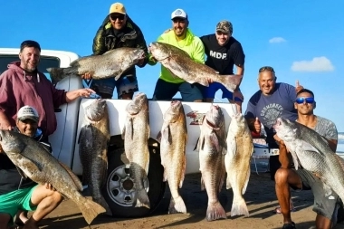 Santa Clara celebra el Día Mundial de la Pesca: festival de espectáculos, artesanos y foodtrucks