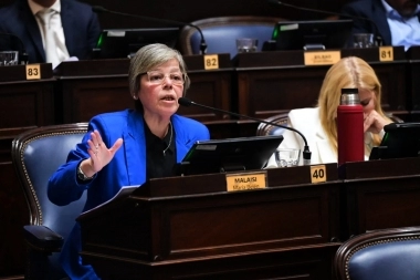 Desde la Legislatura, Malaisi celebró el rechazo de un nuevo fondo para la SIDE en el Congreso