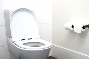 Un insólito proyecto llegó a la Legislatura: declarar al inodoro como “un lugar para la paz”