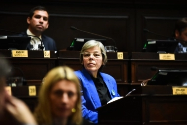 Malaisi cargó contra Kicillof y Diz por el problema generado por el acuerdo entre IOMA y Navarro